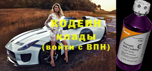 твердый Верхний Тагил