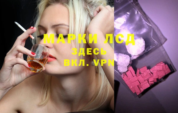 винт Верея
