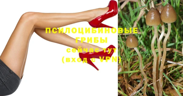 винт Усолье-Сибирское